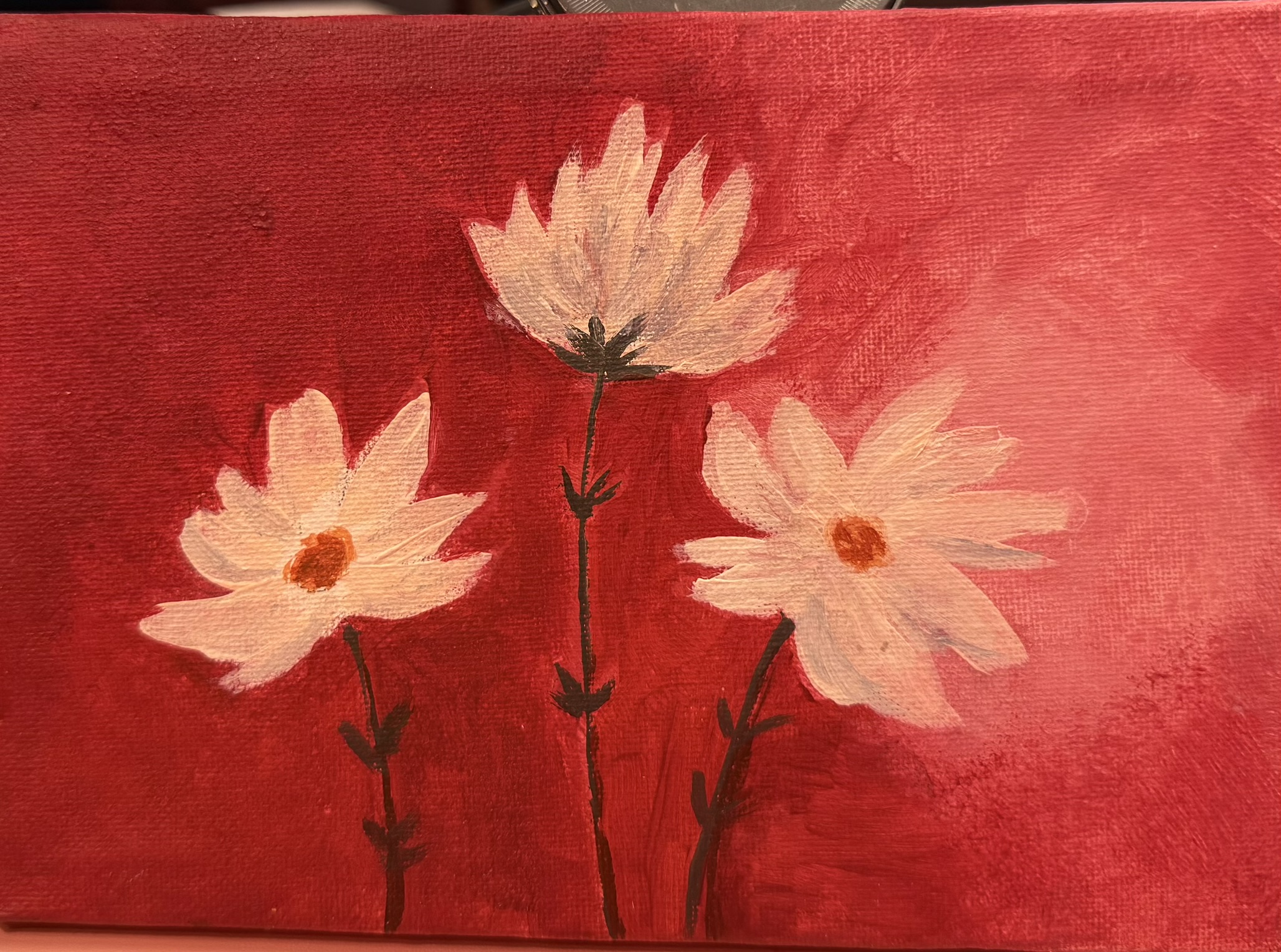 Daisies on Red, Acrylic on canvas board, © 2026 FC. All Rights Reserved.