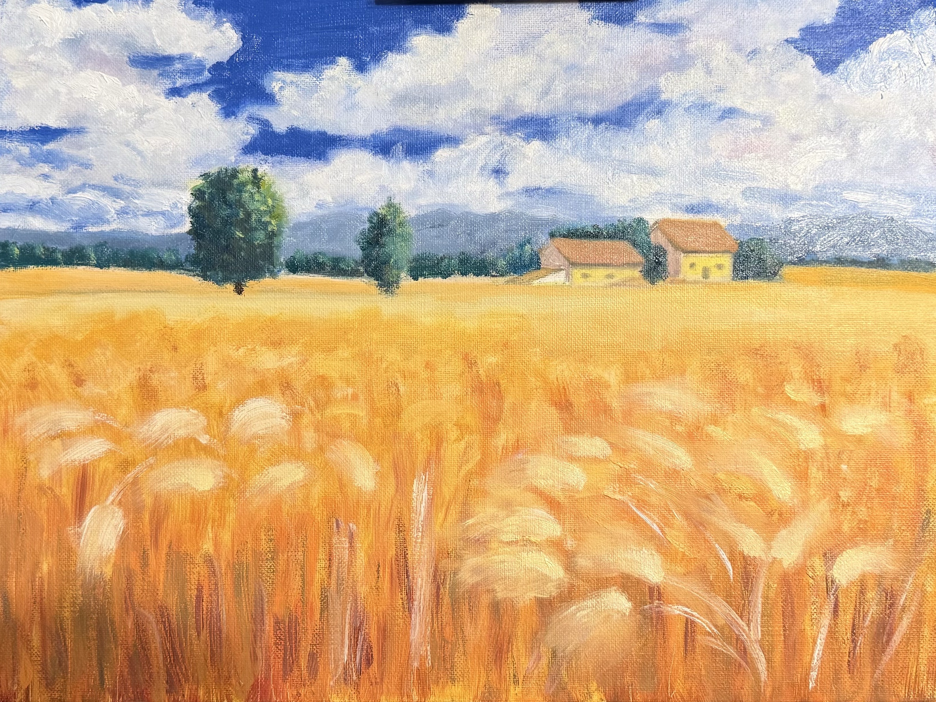 Wheat Field, Oil on canvas, © 2026 FC. All Rights Reserved.
